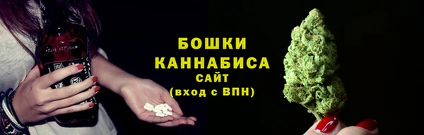 ешки Новозыбков