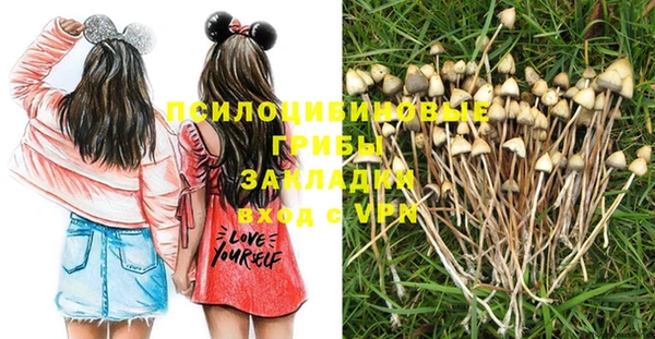 ешки Новозыбков
