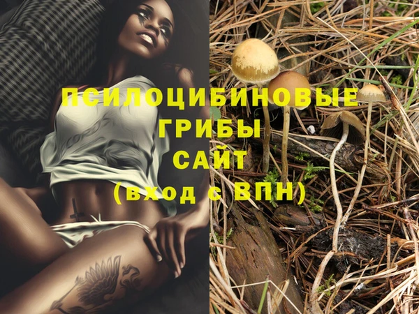 ешки Новозыбков