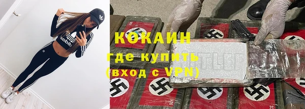 ешки Новозыбков